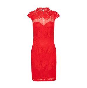 Lipsy Koktejlové šaty 'WX RED LACE'  červená