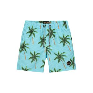 Shiwi Plavecké šortky 'palms'  tyrkysová / zelená