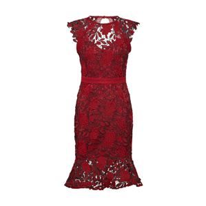 Lipsy Koktejlové šaty 'RED AO LACE DRESS(KATE MOVE ON)'  rubínově červená