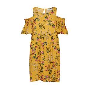 GLAMOROUS Letní šaty 'HP0024'  žlutá / mix barev