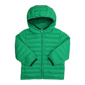 GAP Zimní bunda 'TAO'  tmavě zelená