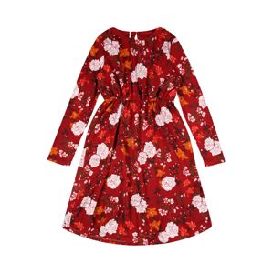 KIDS ONLY Šaty 'PELLA'  karmínově červené / mix barev