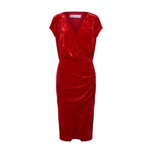 IVYREVEL Pouzdrové šaty  červená