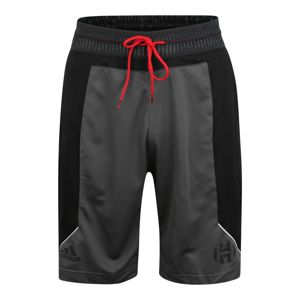 ADIDAS PERFORMANCE Sportovní kalhoty 'HARDEN SHORT'  tmavě šedá / černá