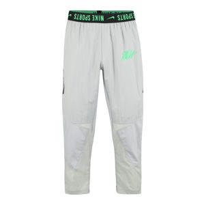 NIKE Sportovní kalhoty  zelená / šedá / černá