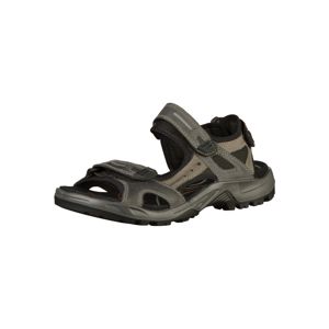 ECCO Trekingové sandály  tmavě šedá / tmavě béžová