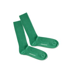DillySocks Ponožky  zelená / bílá