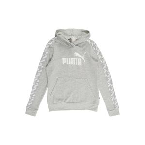 PUMA Sportovní mikina 'Amplified Hoody TR'  bílá / světle šedá