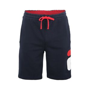 FILA Sportovní kalhoty 'Robert'  tmavě modrá / červená / bílá