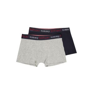 Tommy Hilfiger Underwear Trunks  námořnická modř / šedá